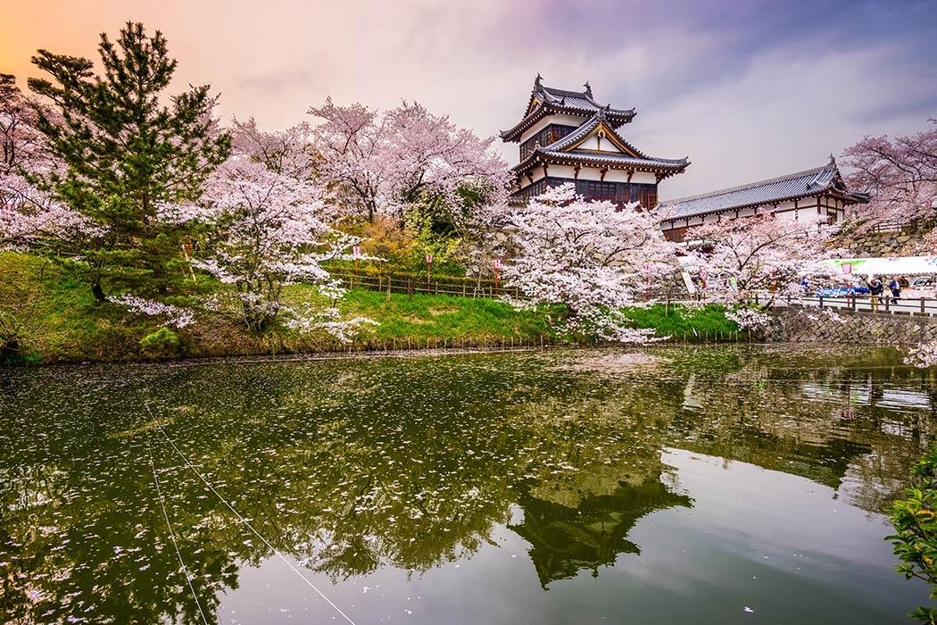 Kyoto prefecture Kyoto prefecture