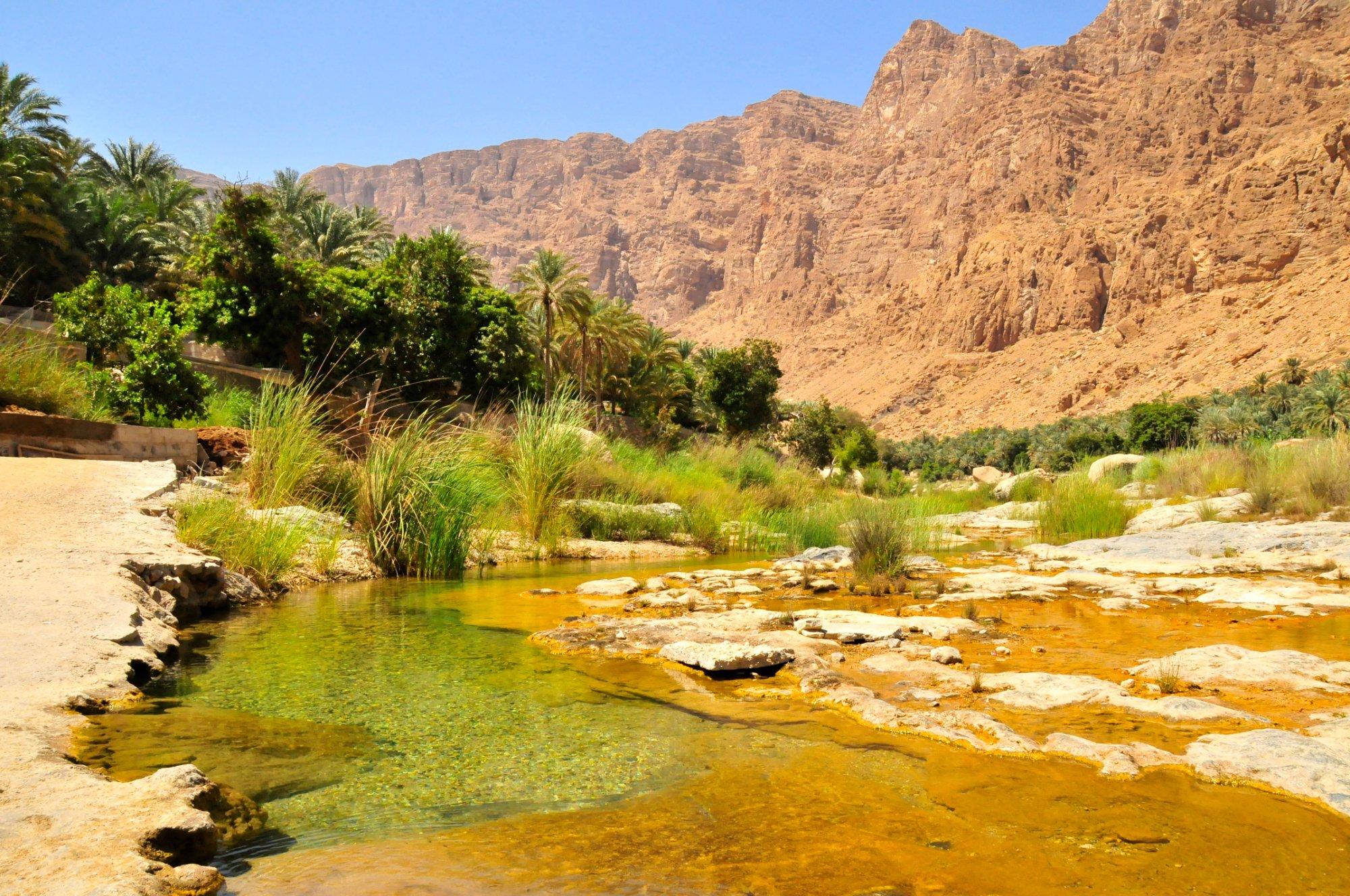 Arabian Oryx Camp