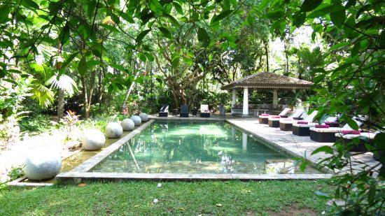 The Wallawwa Kotugoda The Wallawwa Kotugoda