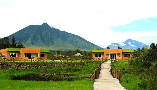 Mountain Gorilla View Lodge Mountain Gorilla View Lodge