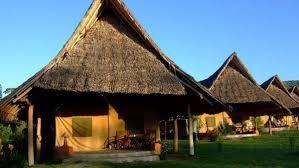 Flamingo Hill Tented Flamingo Hill Tented