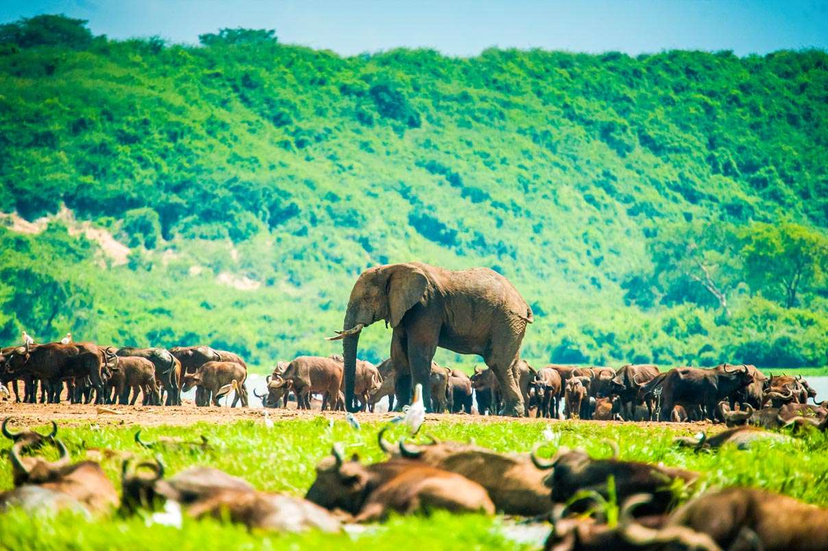 Tanzania, Tanzania Tour Package Tanzania, Tanzania Tour Package