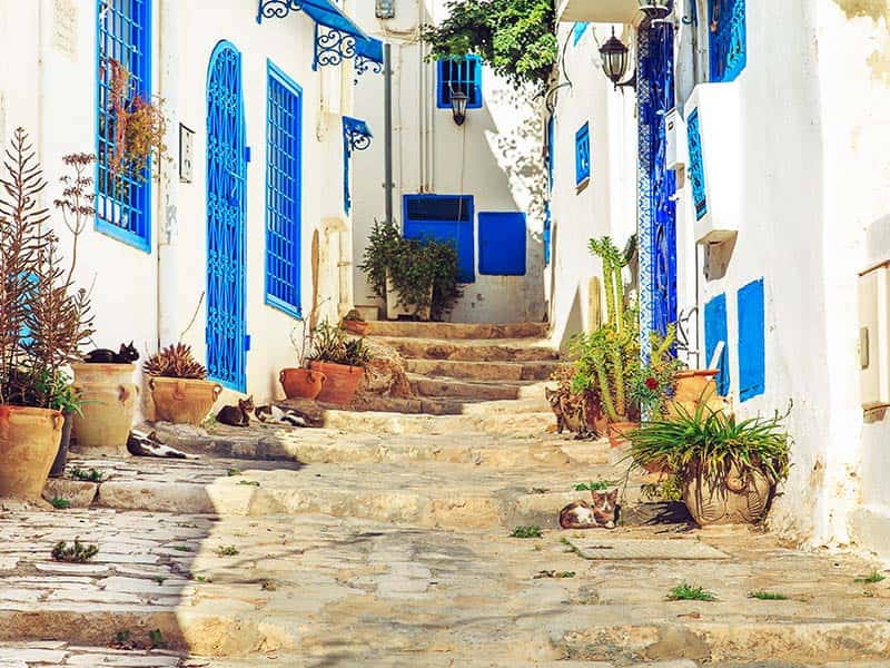 Houses of Tunisia, Package Holiday to Tunisia