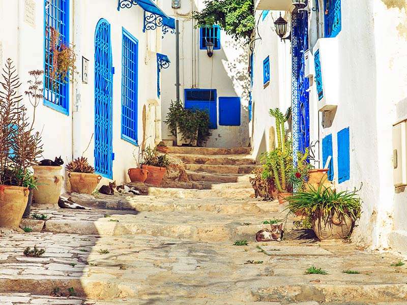 Houses of Tunisia, Package Holiday to Tunisia Houses of Tunisia, Package Holiday to Tunisia