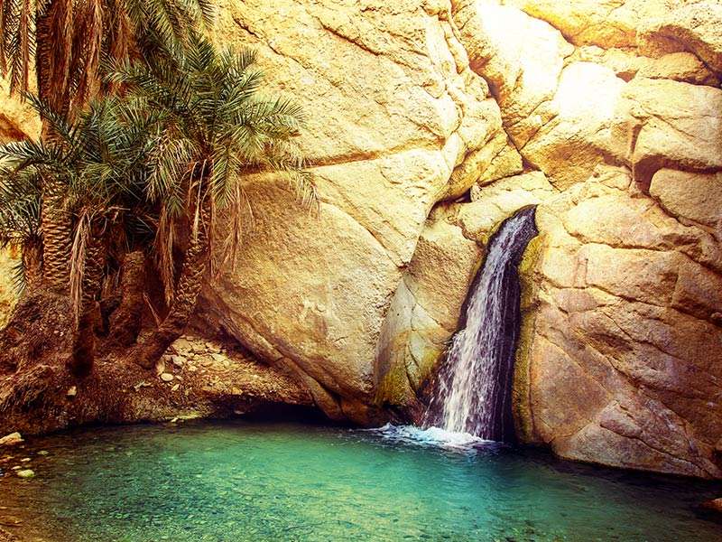 Tunisian Nature, Tunisia Vacation Package Tunisian Nature, Tunisia Vacation Package