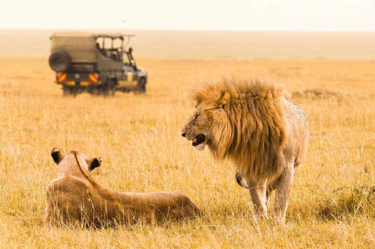 Kenya, Kenya Travel Package