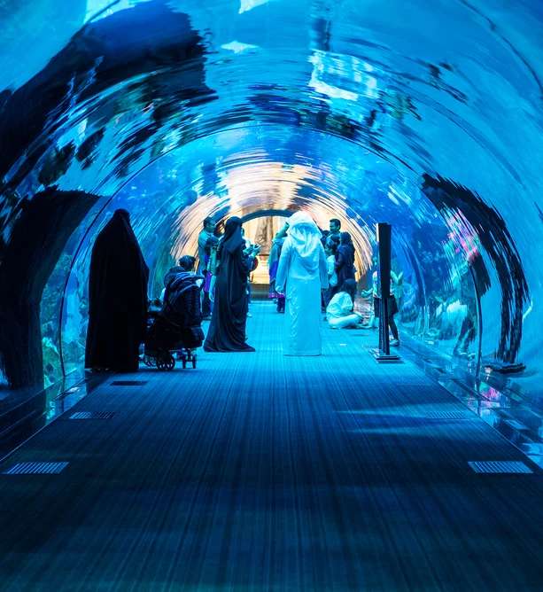 Dubai Trips Dubai Trips