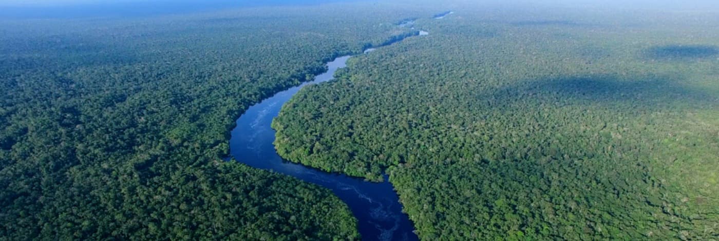 Amazon River, Rainforest Amazon River